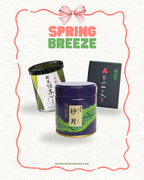 "Spring Breeze" Bundle