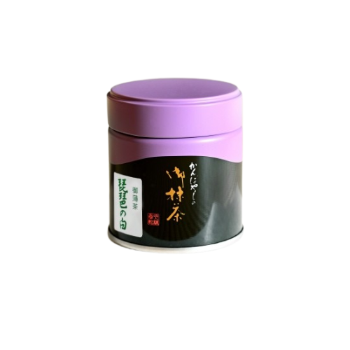 Biwa no Shiro